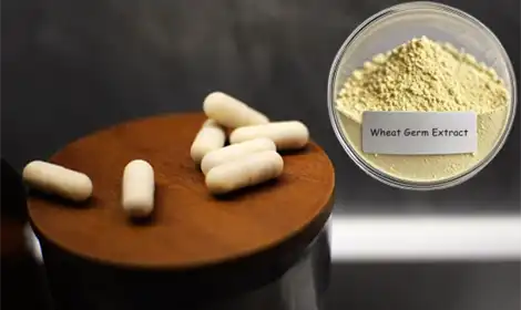 The Role of Spermidine Powder in Cellular Regeneration and Longevity